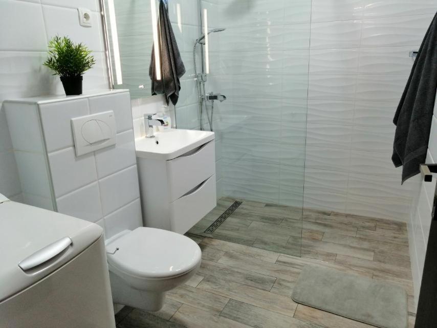 Apartman Sanja بولا المظهر الخارجي الصورة