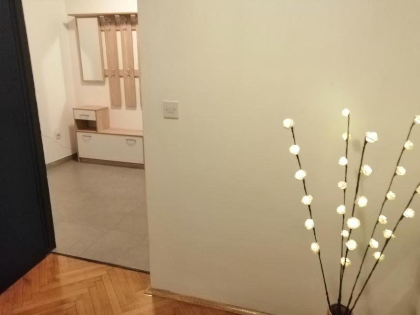 Apartman Sanja بولا المظهر الخارجي الصورة